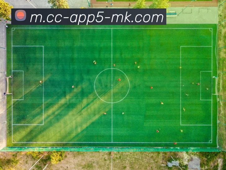 App Interface Preview